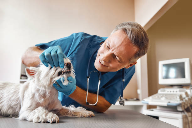 Best Pediatric Emergency Dentist in Thomas, OK